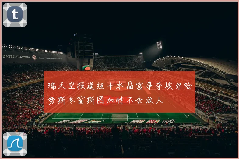 瑞天空报道纽卡水晶宫争夺埃尔哈努斯冬窗斯图加特不会放人