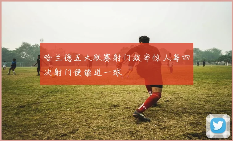 哈兰德五大联赛射门效率惊人每四次射门便能进一球